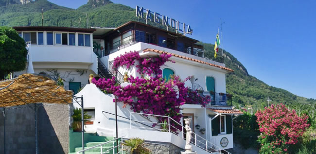 Hotel Magnolia - Hotel