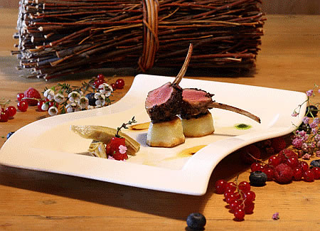 BioHotel Hermitage - Dettagli